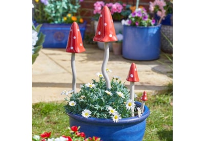 Smart Garden Fantasy Fungus Smart Garden Fantasy Fungus