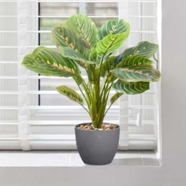 Smart Garden Faux Plant Prayer Plant Smart Garden Faux Plant Prayer Plant