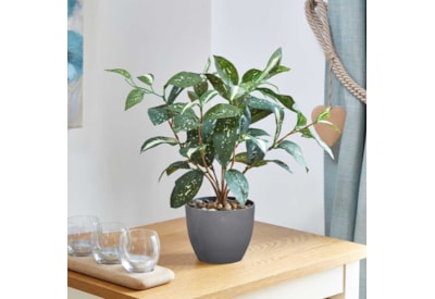 Smart Garden Faux Plant Japanese Laural