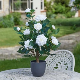 Smart Garden Faux Regents Roses White 60cm (5607532)