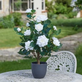 Smart Garden Faux Regents Roses White 60cm Smart Garden Faux Regents Roses White 60cm