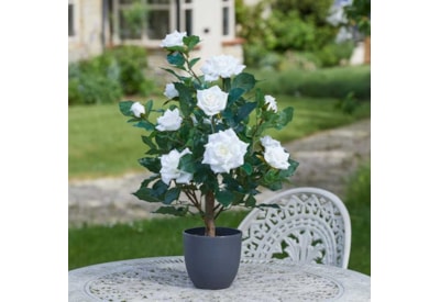 Smart Garden Faux Regents Roses White 60cm Smart Garden Faux Regents Roses White 60cm