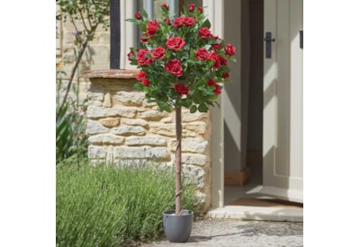Smart Garden Faux Regents Roses Red 120cm (5607590)