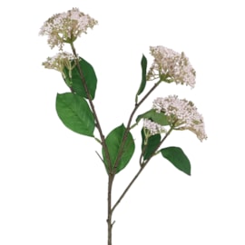 Gisela Graham White Elderflower Spray 39cm Gisela Graham White Elderflower Spray 39cm