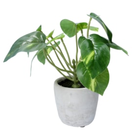Gisela Graham Faux Philodendron Potted Plant 21cm Gisela Graham Faux Philodendron Potted Plant 21cm
