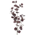 Gisela Graham Purple Eucalyptus Branch 95cm