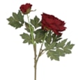 Gisela Graham Antique Burgundy Peony w Bud Stem 70cm Gisela Graham Antique Burgundy Peony w Bud Stem 70cm