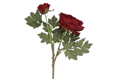 Gisela Graham Antique Burgundy Peony w Bud Stem 70cm Gisela Graham Antique Burgundy Peony w Bud Stem 70cm