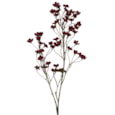 Gisela Graham Antique Burgundy Plum Blossom Branch 92cm Gisela Graham Antique Burgundy Plum Blossom Branch 92cm