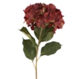 Gisela Graham Antique Burgundy Hydrangea Stem 84cm Gisela Graham Antique Burgundy Hydrangea Stem 84cm
