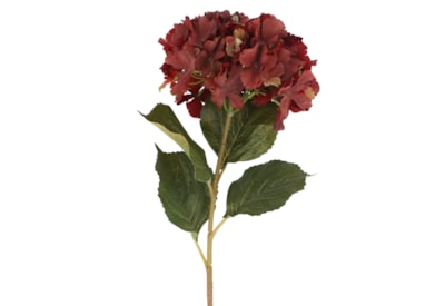 Gisela Graham Antique Burgundy Hydrangea Stem 84cm Gisela Graham Antique Burgundy Hydrangea Stem 84cm