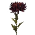 Gisela Graham Dark Purple Chrysanthemum Stem 62cm Gisela Graham Dark Purple Chrysanthemum Stem 62cm