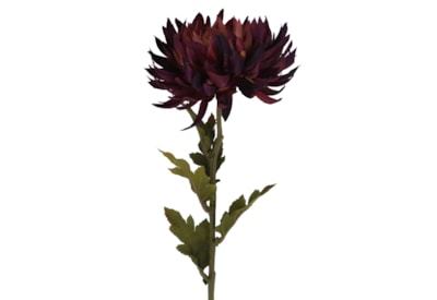 Gisela Graham Dark Purple Chrysanthemum Stem 62cm Gisela Graham Dark Purple Chrysanthemum Stem 62cm