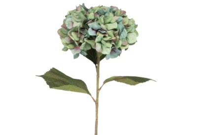 Gisela Graham Antique Blue Giant Hydrangea Stem 83X23X23Cm Gisela Graham Antique Blue Giant Hydrangea Stem 83X23X23Cm