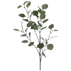 Gisela Graham Tinged Green Eucalyptus Branch 88cm (60622)
