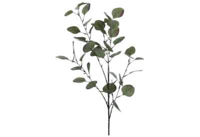 Gisela Graham Tinged Green Eucalyptus Branch 88cm (60622)