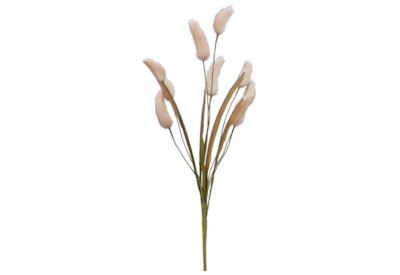 Gisela Graham Natural Bunny Tail Spray 48cm Gisela Graham Natural Bunny Tail Spray 48cm