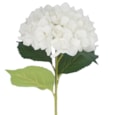 Gisela Graham White Giant Hydrangea Stem  83X23X23Cm