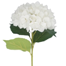 Gisela Graham White Giant Hydrangea Stem  83X23X23Cm