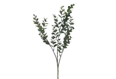 Gisela Graham Mini Eucalyptus Pick 48X22X7Cm Gisela Graham Mini Eucalyptus Pick 48X22X7Cm