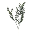 Gisela Graham Mini Eucalyptus Pick 48X22X7Cm