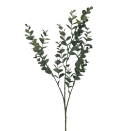 Gisela Graham Mini Eucalyptus Pick 48X22X7Cm