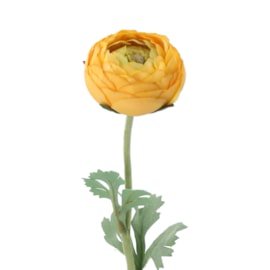 Gisela Graham Yellow Ranunculus Stem 50cm Gisela Graham Yellow Ranunculus Stem 50cm