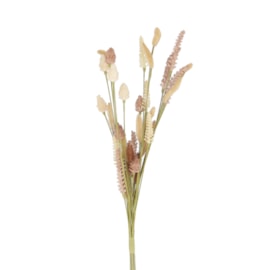 Gisela Graham Natural Bunny Tail & Cone Mix Bunch 50cm Gisela Graham Natural Bunny Tail & Cone Mix Bunch 50cm