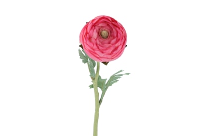 Gisela Graham Dark Pink Ranunculus Stem 50cm Gisela Graham Dark Pink Ranunculus Stem 50cm