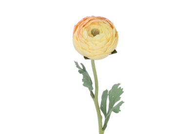 Gisela Graham Blush Yellow Ranunculus Stem 50cm Gisela Graham Blush Yellow Ranunculus Stem 50cm