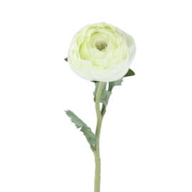 Gisela Graham White Ranunculus Stem 50cm Gisela Graham White Ranunculus Stem 50cm