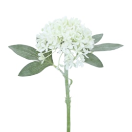 Gisela Graham Antique White Hydrangea Mini Pick Gisela Graham Antique White Hydrangea Mini Pick