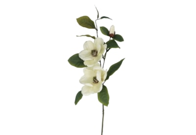Gisela Graham Cream Magnolia Spray 84X25X12Cm Gisela Graham Cream Magnolia Spray 84X25X12Cm