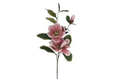 Gisela Graham Dusky Pink Magnolia Spray 84X25X12Cm Gisela Graham Dusky Pink Magnolia Spray 84X25X12Cm