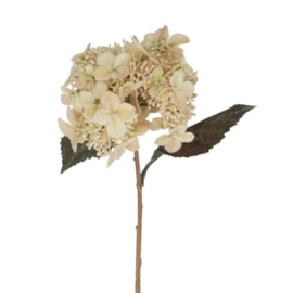 Gisela Graham Cream Lacecap Hydrangea Stem 52X26X20Cm