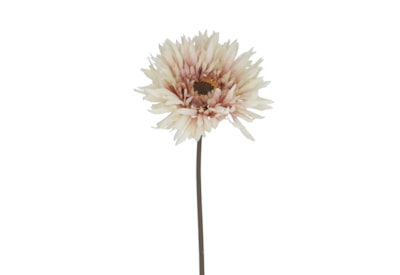 Gisela Graham Blush White Gerbera Stem 43X11X11Cm Gisela Graham Blush White Gerbera Stem 43X11X11Cm