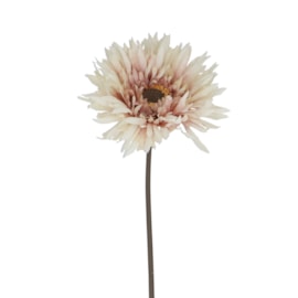 Gisela Graham Blush White Gerbera Stem 43X11X11Cm