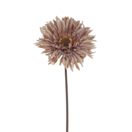 Gisela Graham Antique Mauve Gerbera Stem 43X11X11Cm Gisela Graham Antique Mauve Gerbera Stem 43X11X11Cm
