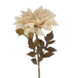 Gisela Graham Antique Cream Dahlia Stem 56cm Gisela Graham Antique Cream Dahlia Stem 56cm
