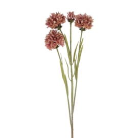 Gisela Graham Antique Pink Echinops Spray 59cm Gisela Graham Antique Pink Echinops Spray 59cm