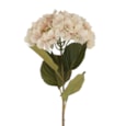 Gisela Graham Antique Cream Hydrangea Stem 84cm Gisela Graham Antique Cream Hydrangea Stem 84cm