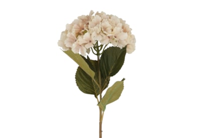Gisela Graham Antique Cream Hydrangea Stem 84cm Gisela Graham Antique Cream Hydrangea Stem 84cm