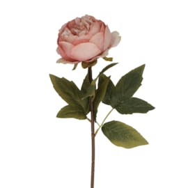 Gisela Graham Antique Pink Peony Stem 57cm Gisela Graham Antique Pink Peony Stem 57cm