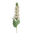 Gisela Graham Cream Foxglove Stem 82cm Gisela Graham Cream Foxglove Stem 82cm