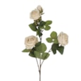 Gisela Graham Antique Cream Roses Spray 70cm Gisela Graham Antique Cream Roses Spray 70cm