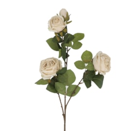 Gisela Graham Antique Cream Roses Spray 70cm Gisela Graham Antique Cream Roses Spray 70cm
