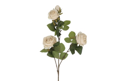 Gisela Graham Antique Cream Roses Spray 70cm Gisela Graham Antique Cream Roses Spray 70cm