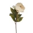 Gisela Graham Antique Cream Peony Stem 57cm Gisela Graham Antique Cream Peony Stem 57cm