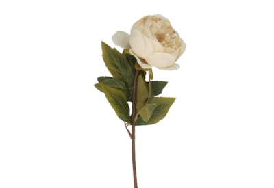 Gisela Graham Antique Cream Peony Stem 57cm Gisela Graham Antique Cream Peony Stem 57cm