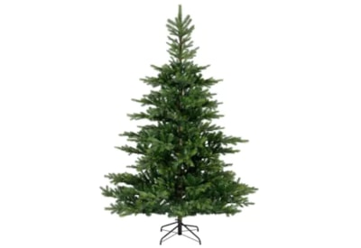 Grandis Fir Tree Green 6ft 180cm Grandis Fir Tree Green 6ft 180cm